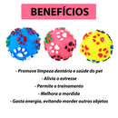 Brinquedo de bolinha